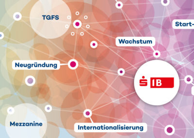 Broschüre SIB