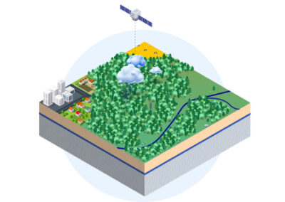 Infografik TUD Forest-Water-Dynamics