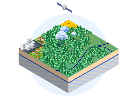 Infografik TUD Forest-Water-Dynamics